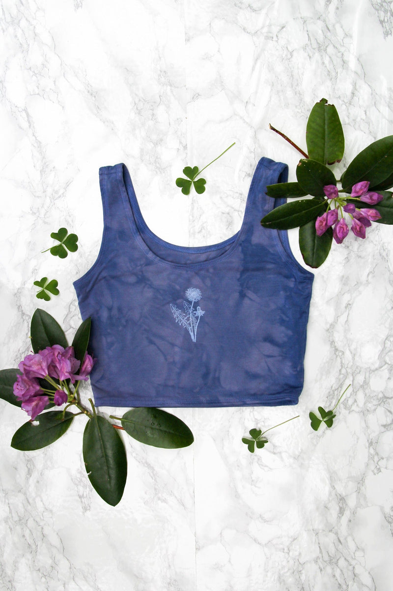Periwinkle Dandelion Phases Top